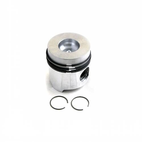 Piston &amp; Rings, Standard