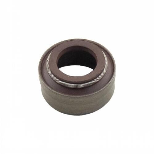 Valve Seal