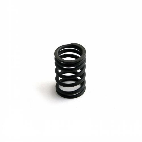 Valve Spring