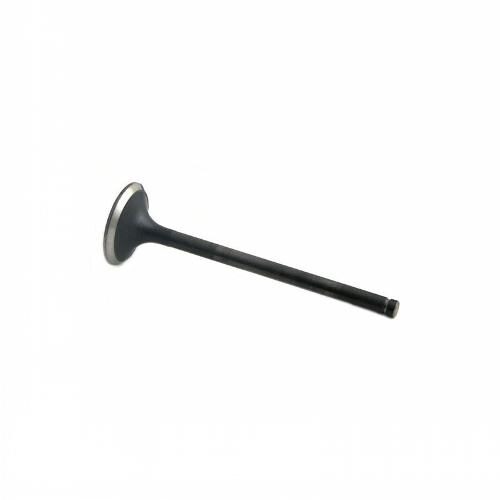 Exhaust Valve