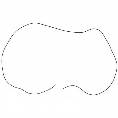 Oil Pan Gasket