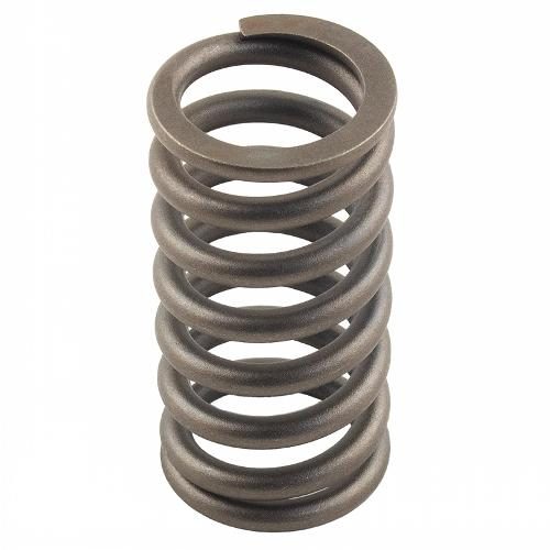 Valve Spring