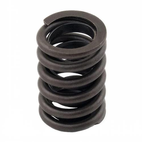 Valve Spring