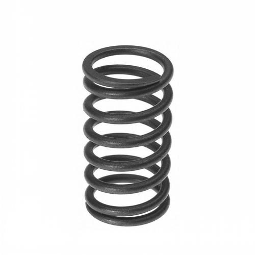 Valve Spring