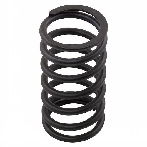 Valve Spring
