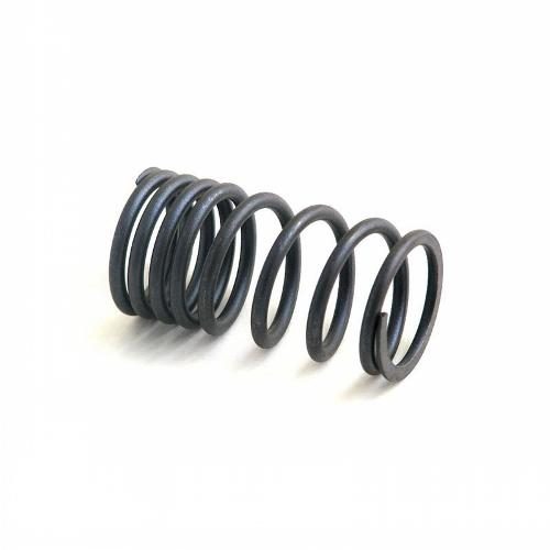 Intake Outer Valve Spring