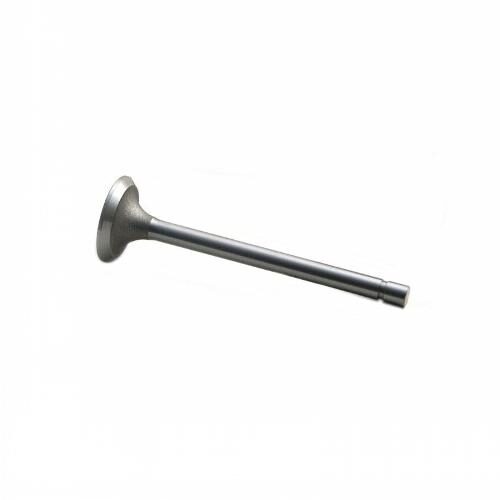 Intake Valve