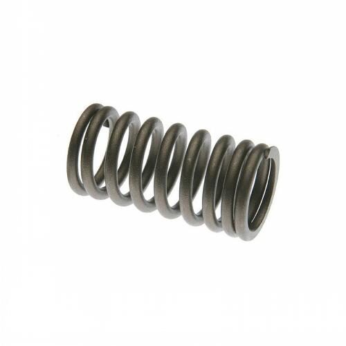Valve Spring