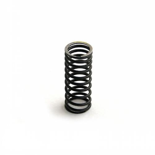 Inner Valve Spring