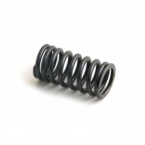 Valve Spring