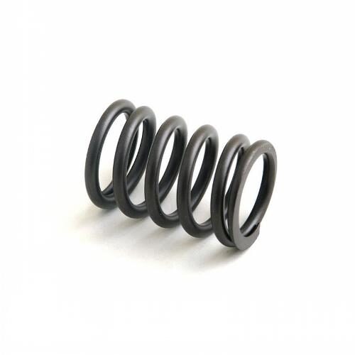 Valve Spring