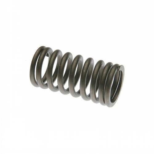 Valve Spring