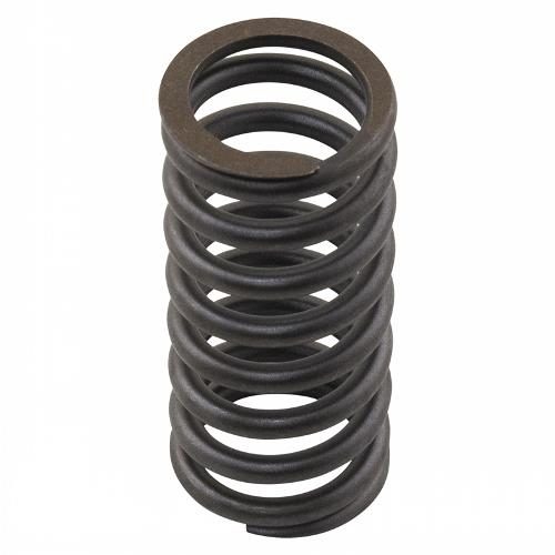 Valve Spring