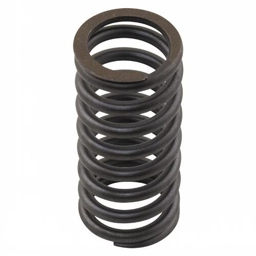 Valve Spring