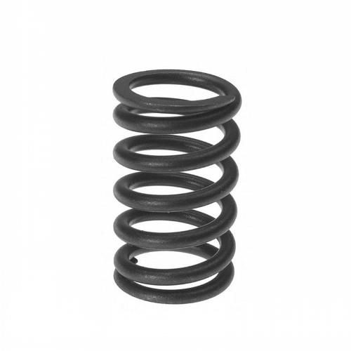 Valve Spring