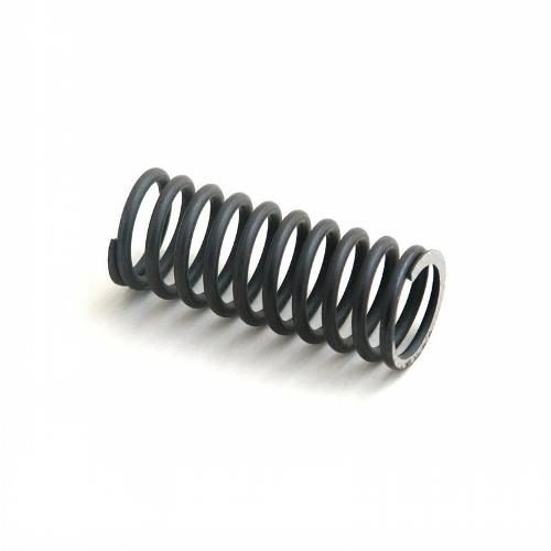 Valve Spring