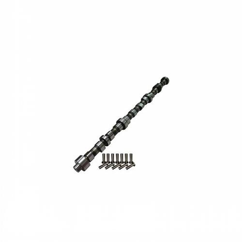 Camshaft &amp; Lifter Kit