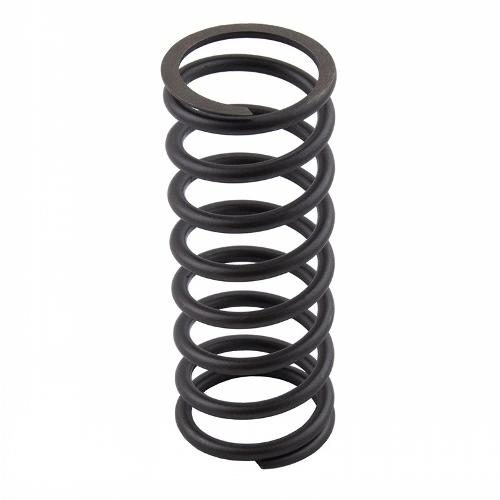 Valve Spring