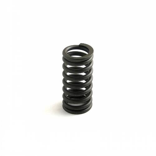 Valve Spring