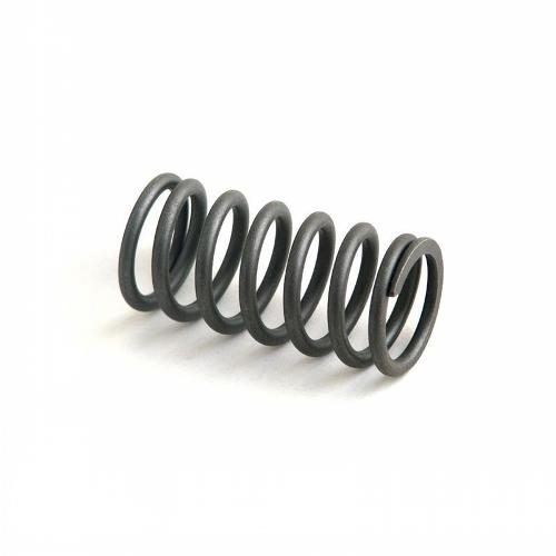 Inner Valve Spring