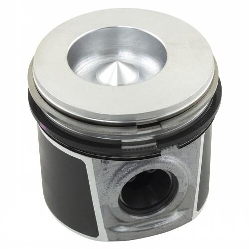 Piston &amp; Rings, Standard
