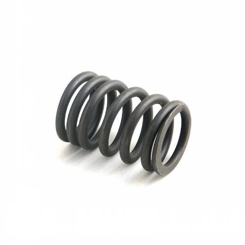 Valve Spring