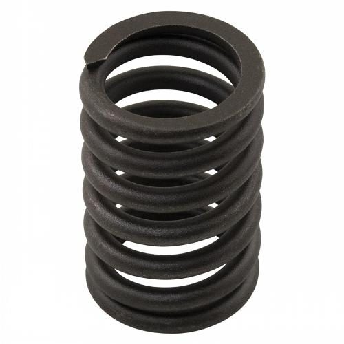 Valve Spring