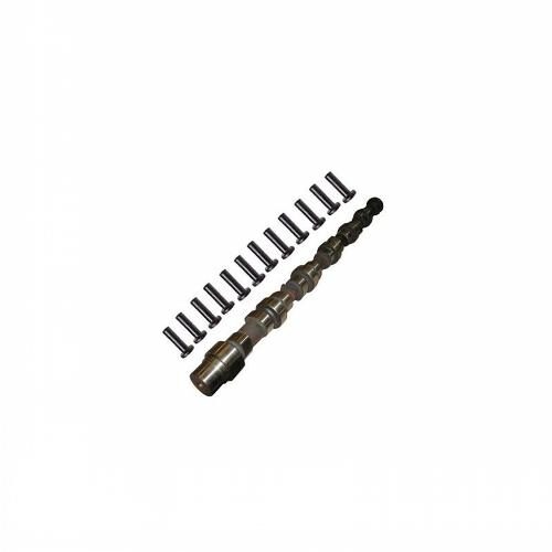 Camshaft &amp; Lifter Kit