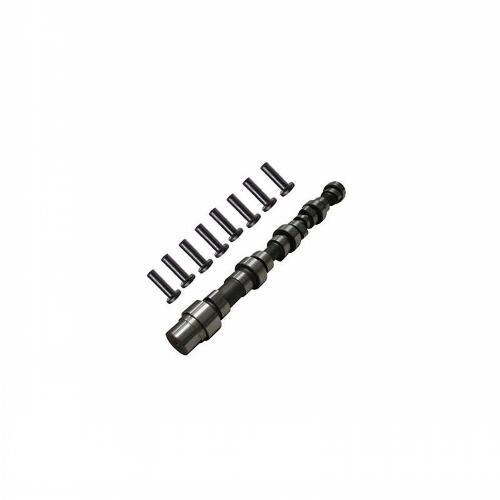 Camshaft &amp; Lifter Kit