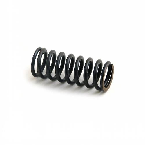 Exhaust Valve Spring