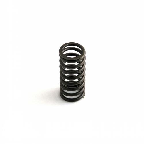 Intake Valve Spring