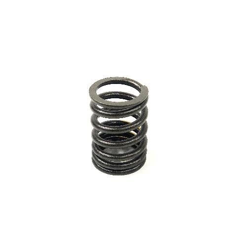 Valve Spring
