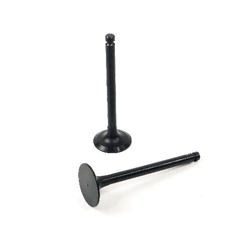 Intake Valve