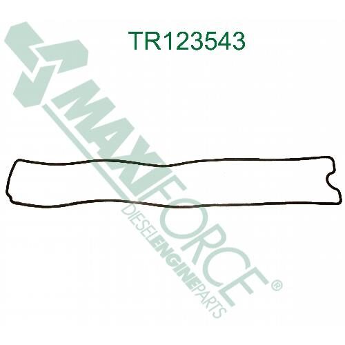 Rocker Cover Gasket