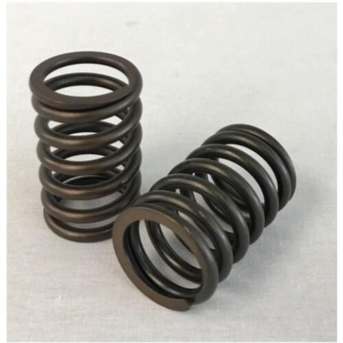 Valve Spring