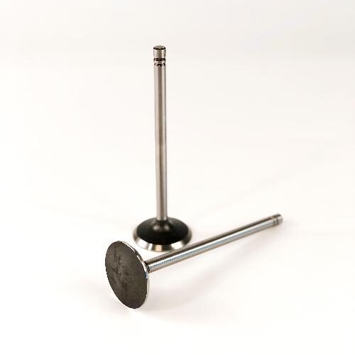 Intake Valve, Standard
