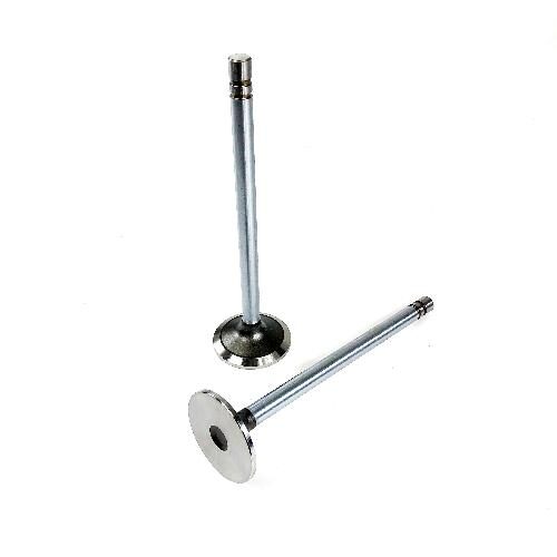 Intake Valve, Standard