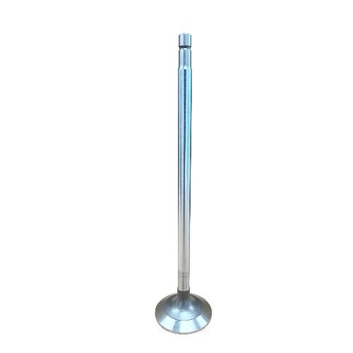 Intake &amp; Exhaust Valve
