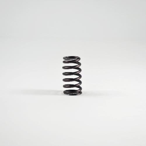 Valve Spring