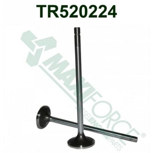 Exhaust Valve, 30 Degree