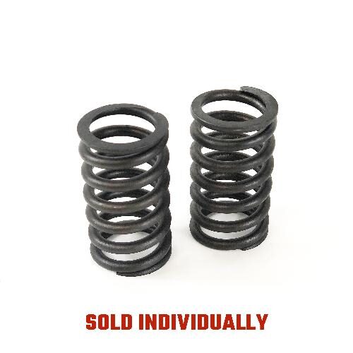 Intake &amp; Exhaust Valve Spring