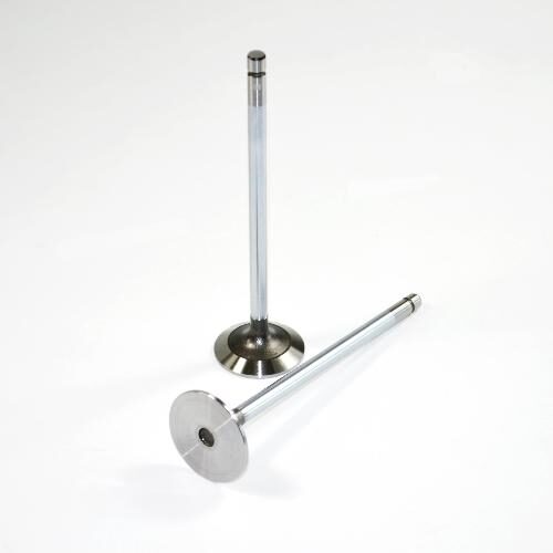 Intake Valve