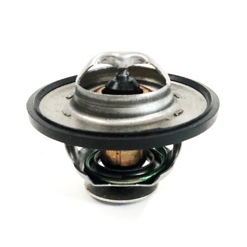 Thermostat, 175 Degree