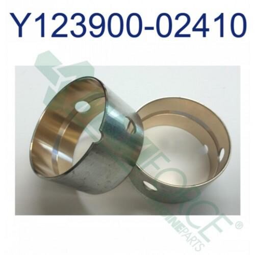 Cam Bearing