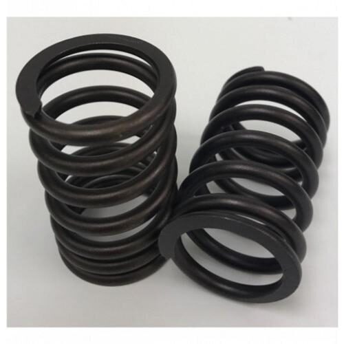 Valve Spring