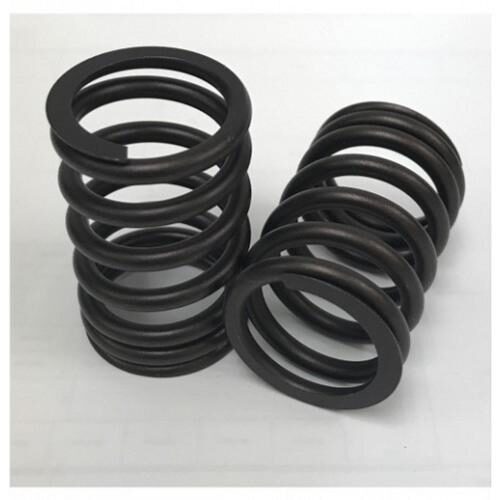 Valve Spring