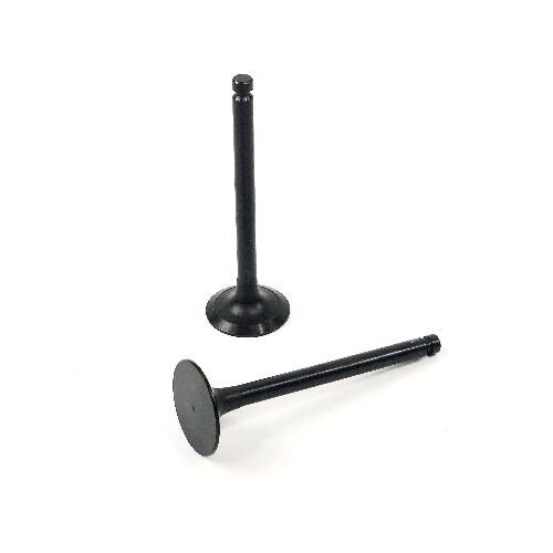 Intake Valve