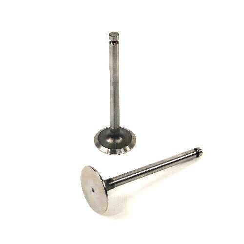 Intake Valve
