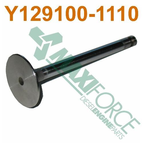 Intake Valve