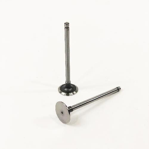 Intake Valve